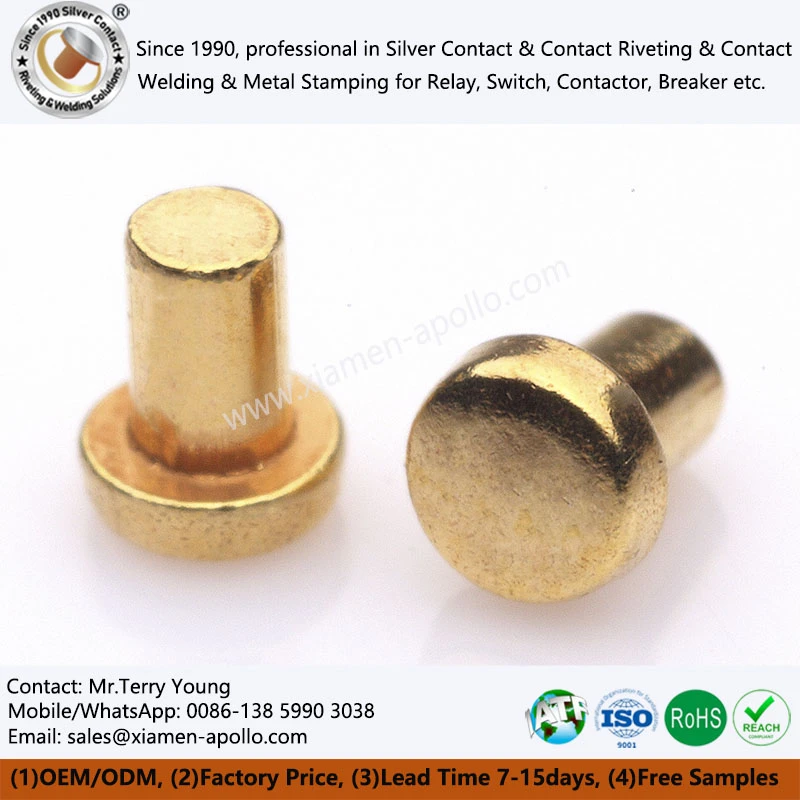 Gold Plating Copper Rivets Gold Plating Copper Rivets